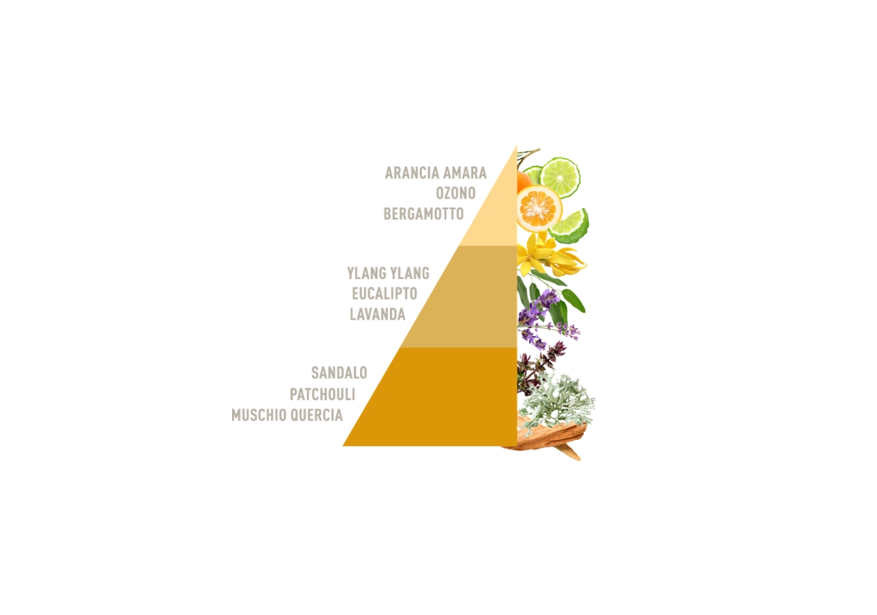 Profuma Bucato Green Sandalo e Ylang Ylang Bio - immagine 2